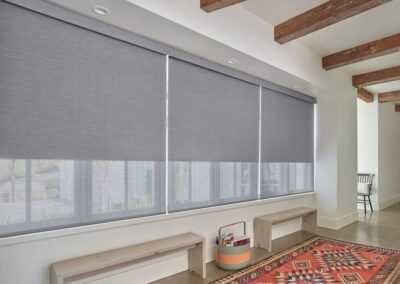 Duolite Roller Shades